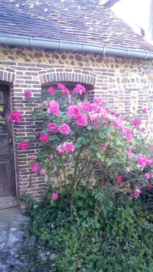 Domaine De Gentilly Saint-Maurice-lès-Charencey 外观 照片