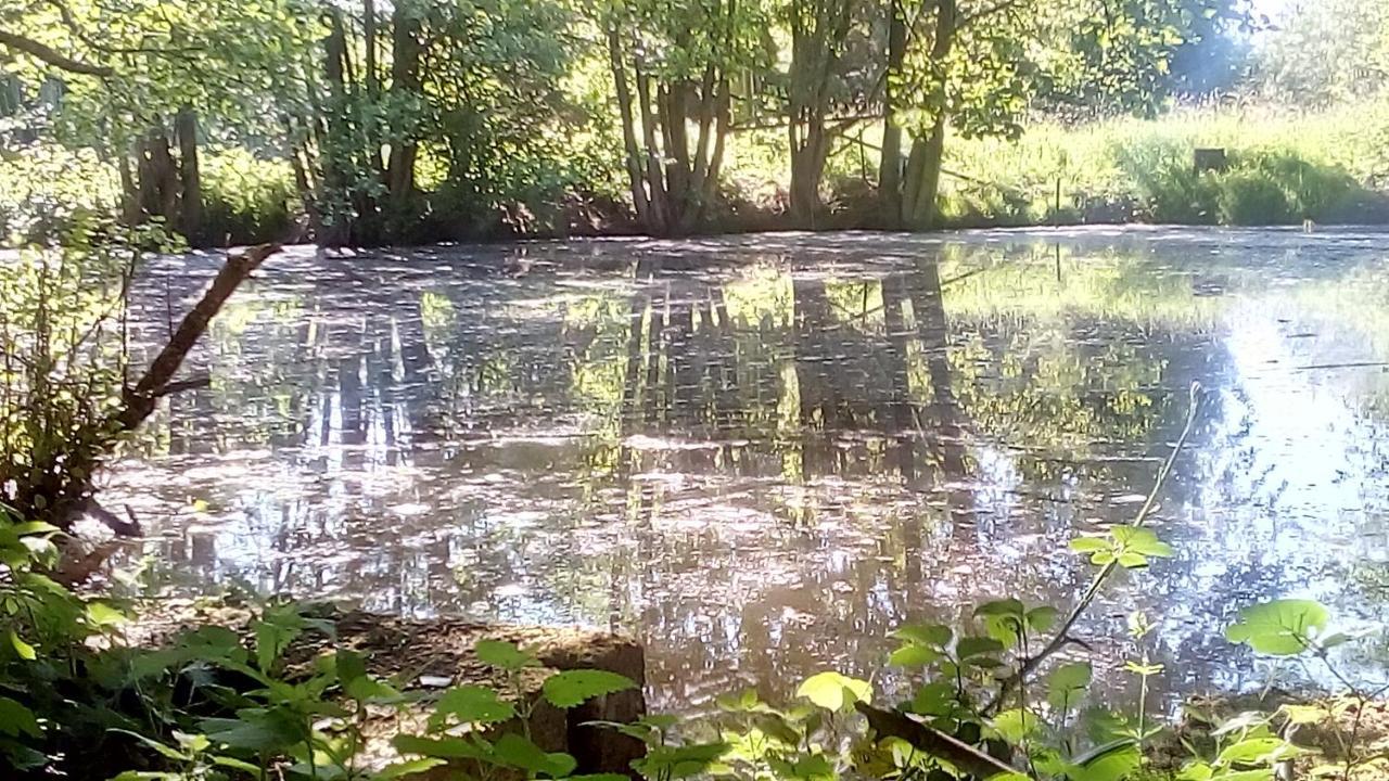 Domaine De Gentilly Saint-Maurice-lès-Charencey 外观 照片